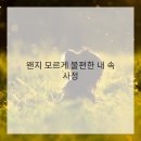 꿀꿀이야기 이미지