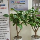 약손체형수기관리 네이버블로그