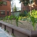 꽃동네어린이공원 이미지