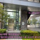 바스텟고양이병원 이미지
