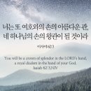 62 이미지