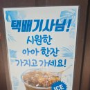 569 | 안성 삼죽면 숲속 카페 포레스트 569 솔직 후기