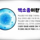 엑소좀 효과 후기 안티에이징 피부재생 실제 경험담