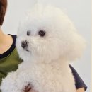 웰리스 동물병원 이미지