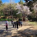 이찬우 태권도 아카데미 이미지