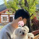 희락정민박 이미지