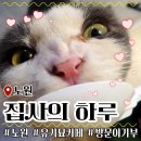 집사의하루 노원점 이미지