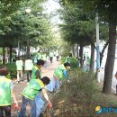 성산구 ⓒ-14 이미지