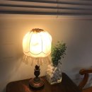 강릉 오란다 이미지