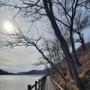 쑥부쟁이(용산저수지)둘레길 | (음성)용산저수지 쑥부쟁이둘레길