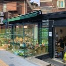 타니의다육공방