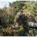 가리왕산가는길 이미지