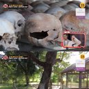 다크투어 이미지