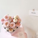 에일린플레르 이미지