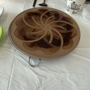 돌끝해물 이미지