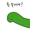 카페, 빛나