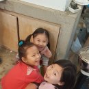 두레자연유치원 이미지