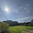 토르스테이 이미지