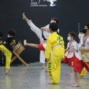 사계절푸른솔 태권도 이미지