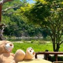 테라스의 아침 이미지