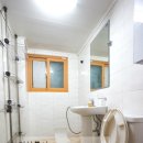 매화초앞 이미지