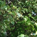 해바리민박 이미지