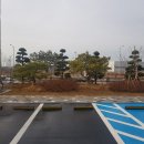 그린조경