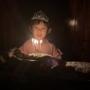 가족이 함께 떠나는 숲체험 & 놀이 -작은 나의 집 | 아이와 함께 한 서천 희리산 해송 자연휴양림 숲속의집 숙박 및 체험 후기