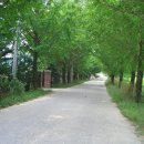 학리입구 이미지