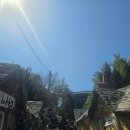 윌 무인텔 이미지