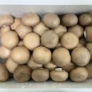 보령농장 이미지