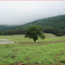 고요목장 이미지