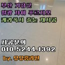 크린토피아부산일광자이 | 부산 기장 일광자이푸르지오 줄눈 재시공 잘하는곳 케라폭시 후기