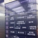 더마힐 클리닉 분당미용실 디엘헤어
