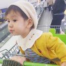 호수피드 이미지