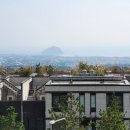 타운헬스 이미지