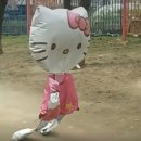 생활영어 기초 입문반 | 구원투수! 해커스 그래머 게이트웨이 베이직 라이트로 기초 영문법 졸업하기 (내돈내산 ebook 후기)