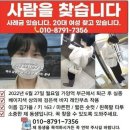 '가양대교 실종' 김가을씨 추적, 한달째 '답보'..수중 수색 돌입 검토 이미지
