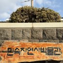 민속자연사박물관 | 제주민속자연사박물관 | 공항 근처 실내 제주 가볼만한 곳 추천 후기