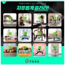 요가;봄 네이버블로그