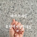 평택 송탄 고양이네일아트성지 메이크네일 평택 서정점
