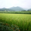 강사랑펜션 이미지