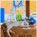 가리산필례펜션 네이버블로그