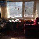 분당-379 이미지