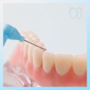 참진치과의원 이미지