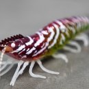 진솔밥상 네이버블로그