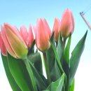 지연농장 이미지