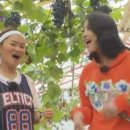 신영농장2 이미지