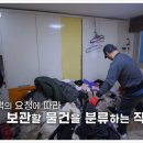 에버그린방역