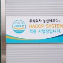 직장 내 성희롱 예방, 장애인 인식개선 교육 / (주)농신에프디